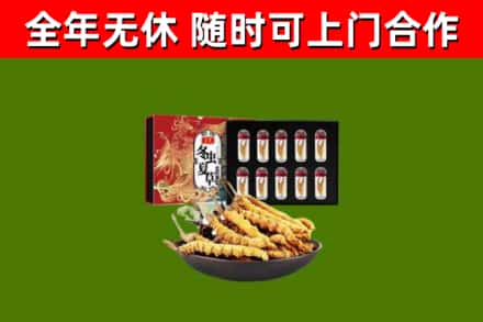 湾沚回收冬虫夏草价格
